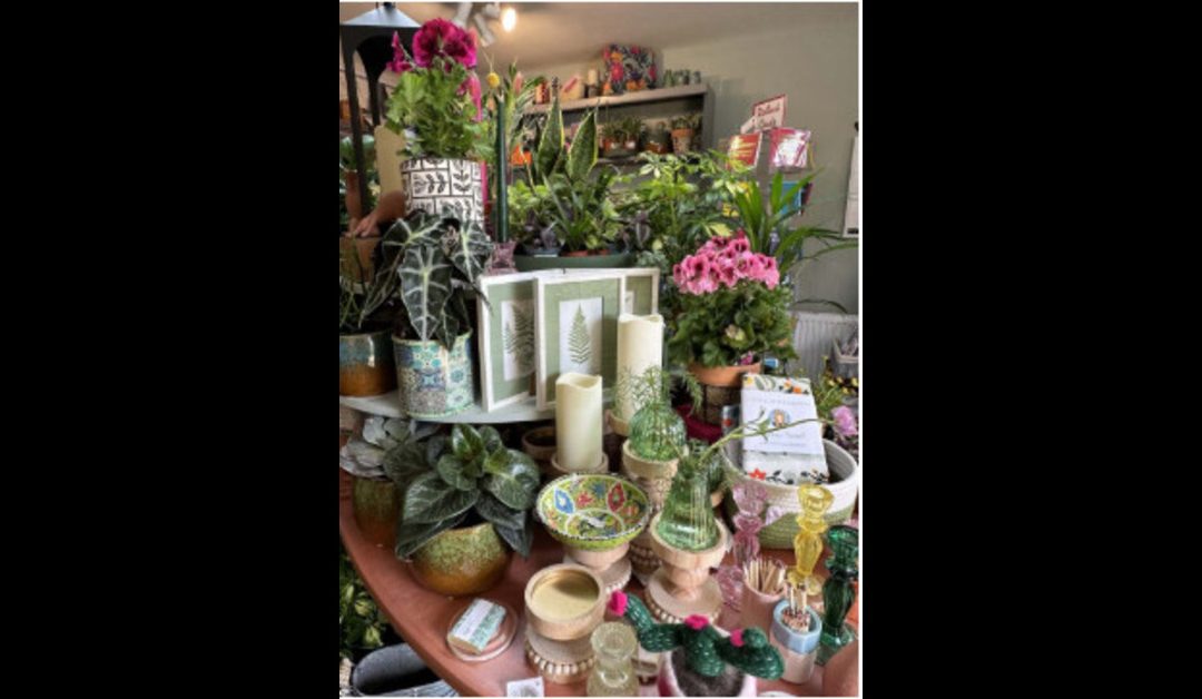 Garden Centre Stroud