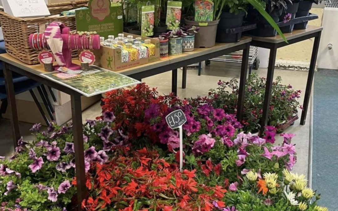 Why Get Outdoor Plants From Your Local Garden Store?